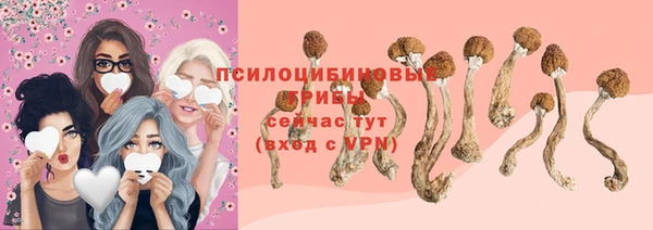 индика Карталы