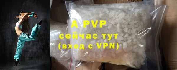 индика Карталы