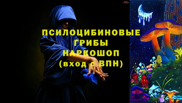 индика Карталы