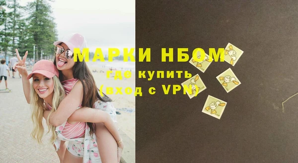 индика Карталы