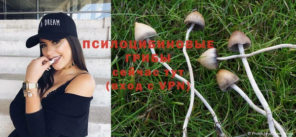 индика Карталы