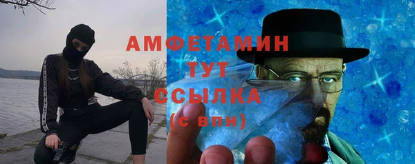 индика Карталы