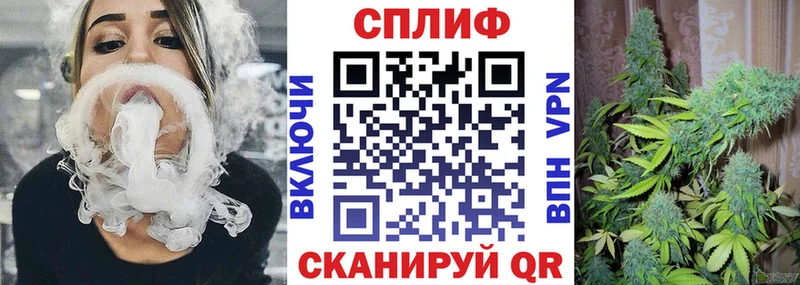Купить закладки  Гатчина  Шишки марихуана тримм 